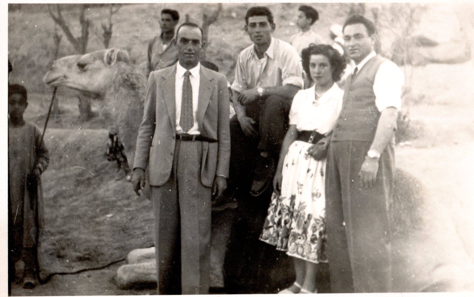 Italiani in Algeri